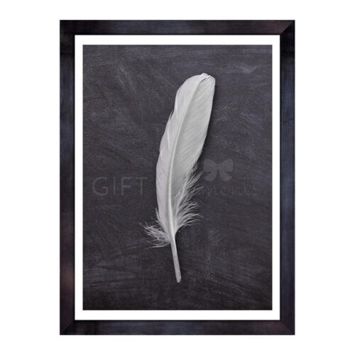 LON-FEA-ART-1 Lone Feather Wall Art