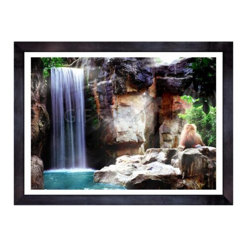 WAT-MON-PHO-1 Waterfall Monkey Photo Art