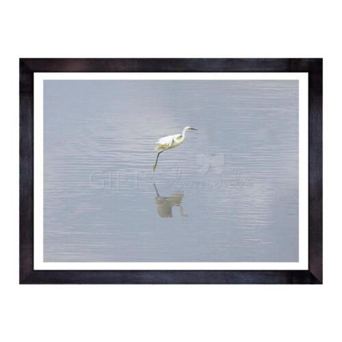 FLY-EGR-PHO-1 Flying Egret Photo Art