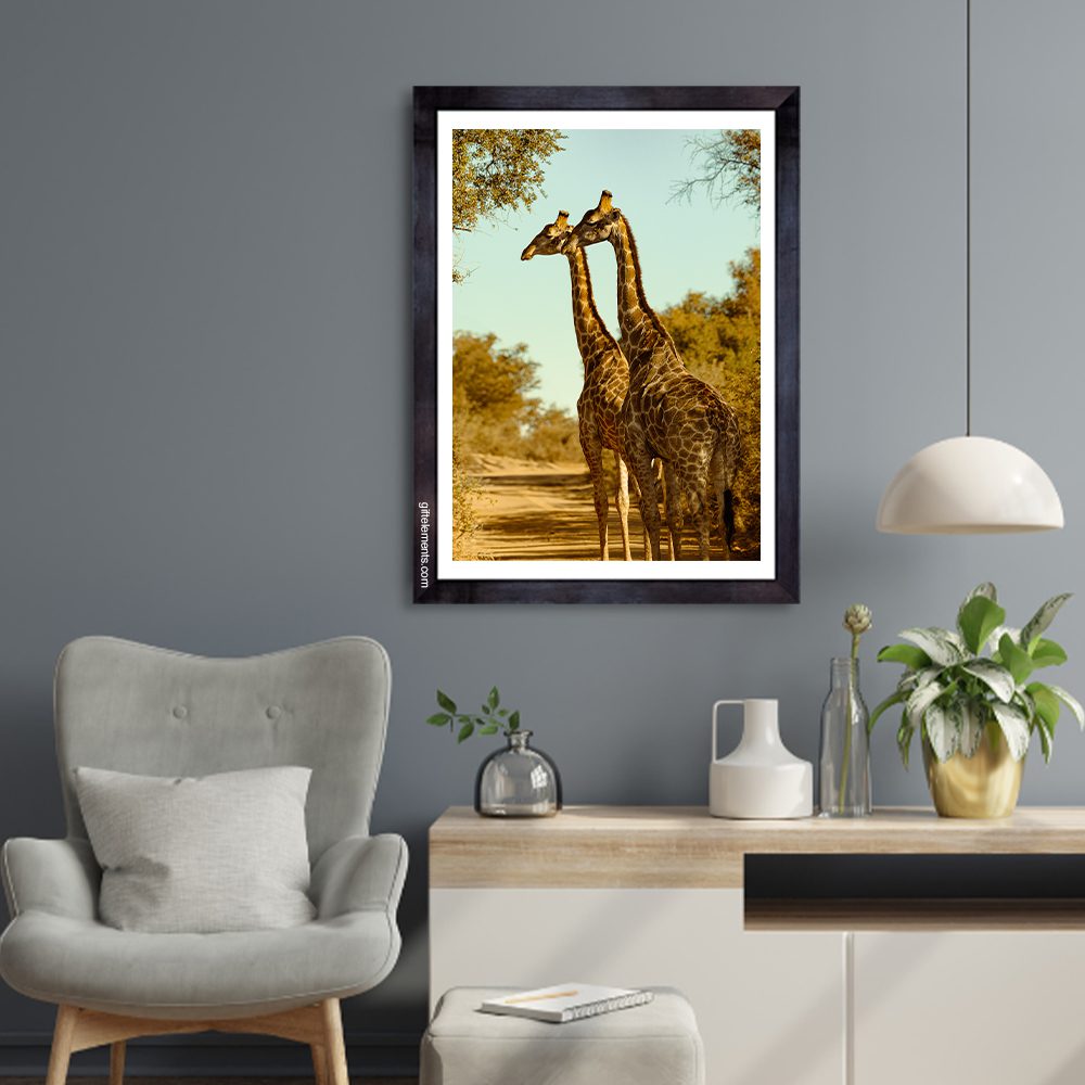 GIR-TWO-PHO-1 Two Giraffes Photo Art