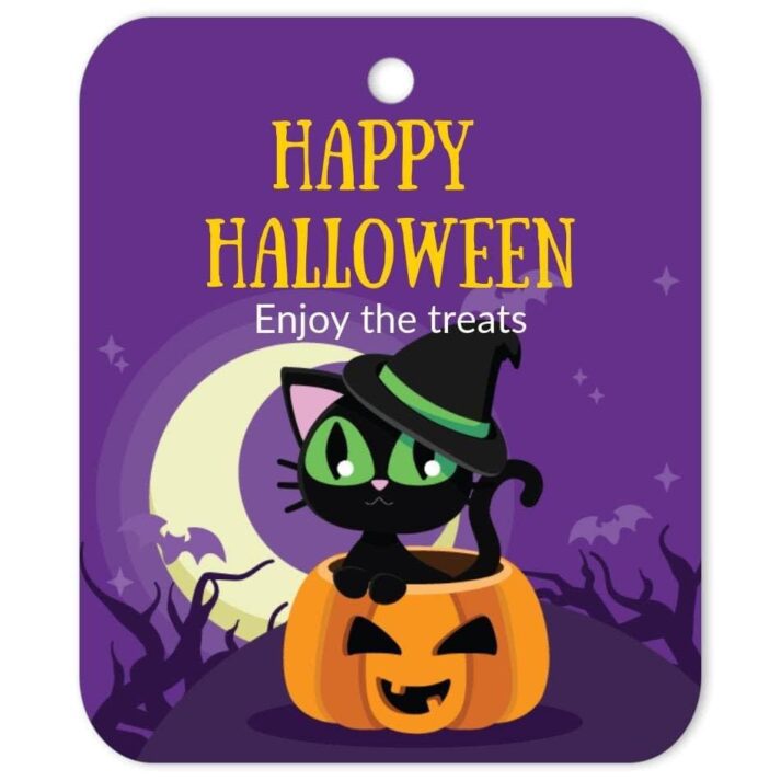 CAT-HAL-TAG-1 Witch Cat Halloween Tag