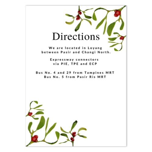 MIS-UND-INV-1 Under The Mistletoe Invitation