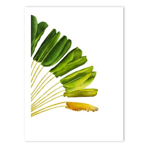 RAV-TRA-ART-1 Ravenala Travellers Palm Wall Art