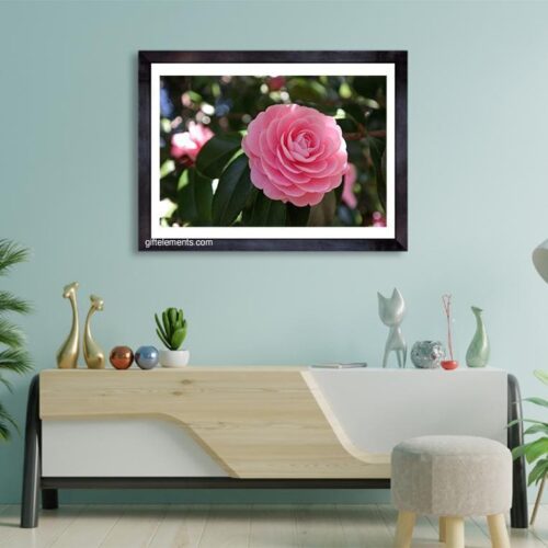 PIN-ROS-PHO-1 Pink Rose Photo Art