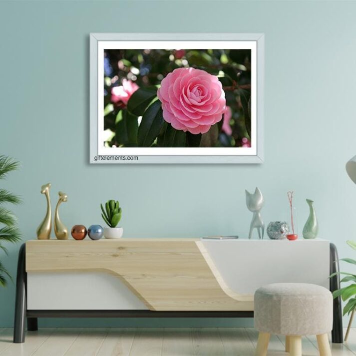 PIN-ROS-PHO-1 Pink Rose Photo Art