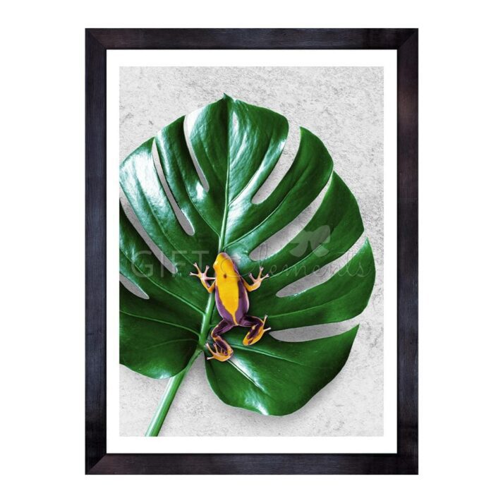 LEA-FRO-PHO-1 Leaf Frog Photo Art