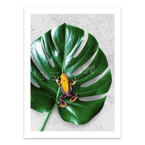 LEA-FRO-PHO-1 Leaf Frog Photo Art