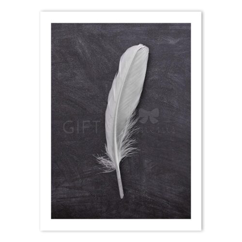 LON-FEA-ART-1 Lone Feather Wall Art