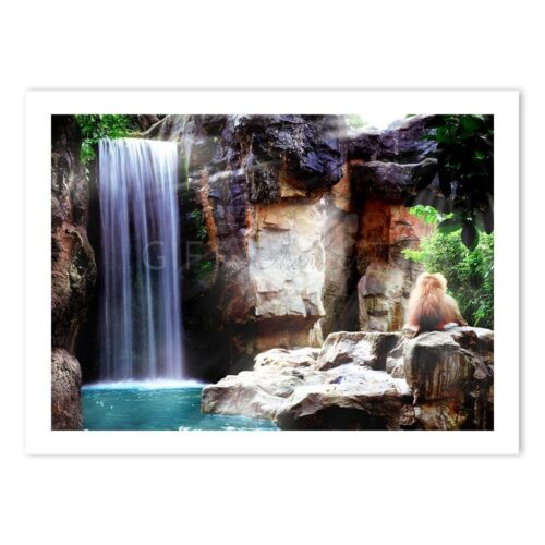 WAT-MON-PHO-1 Waterfall Monkey Photo Art