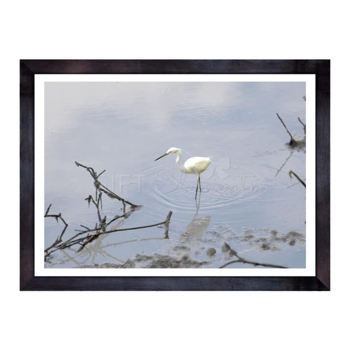 WAD-EGR-PHO-1 Wading Egret Photo Art