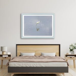 Flying Egret in the bedroom