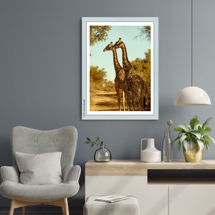 GIR-TWO-PHO-1 Two Giraffes Photo Art