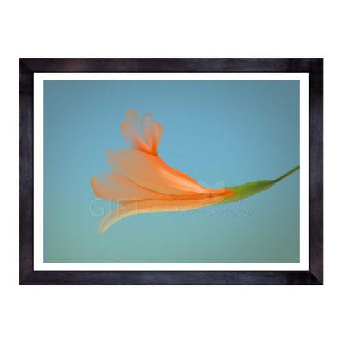 ASI-MAG-ART-1 Asian Magnolia Wall Art