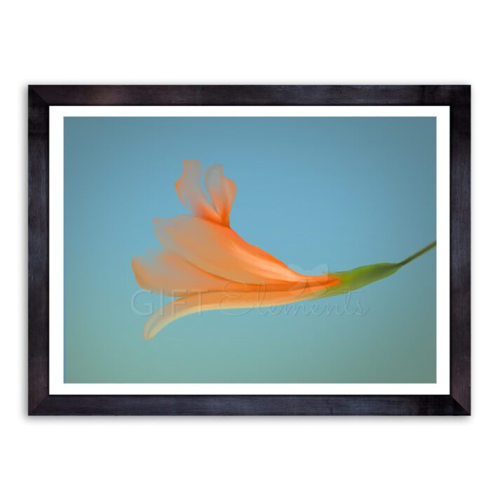 Asian Magnolia Flower Wall Art