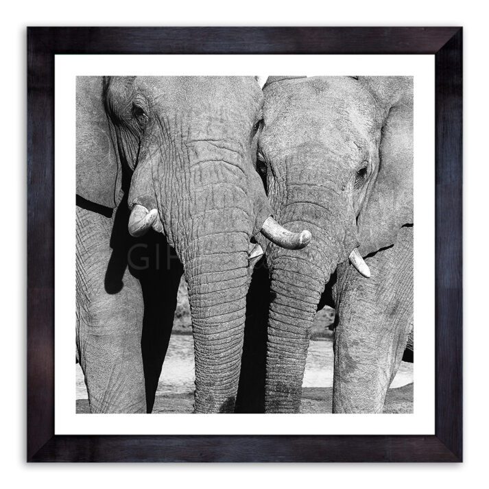 Love Elephant Wall Art