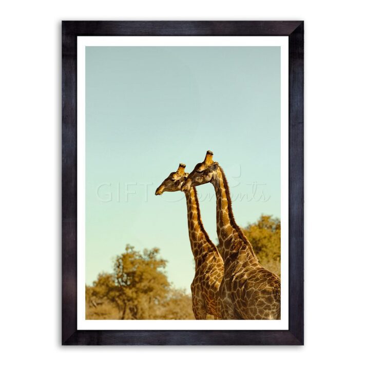 Twin Giraffe Wall Art