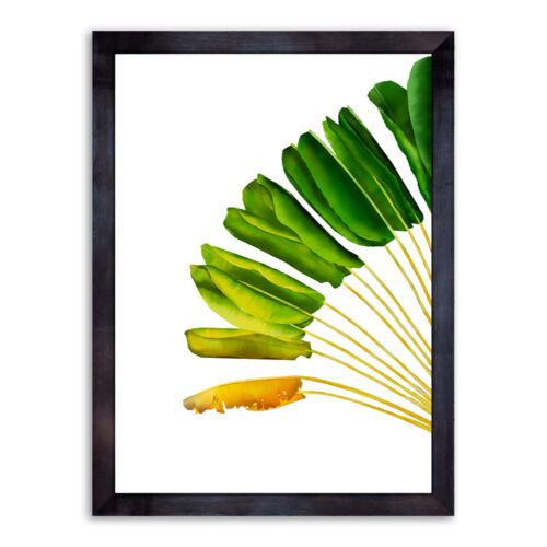 Ravenala 2 Tropical Wall Art