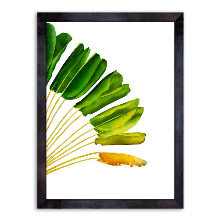 Ravenala Tropical Wall Art